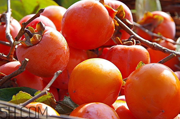 吃柿子舌頭發(fā)澀怎么辦 為什么吃柿子舌頭發(fā)麻 吃柿子舌頭發(fā)澀怎么辦 為什么吃柿子舌頭發(fā)麻