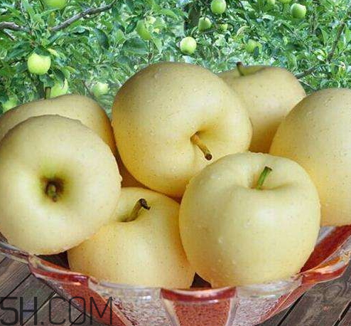 黃元帥蘋果怎么儲存 黃元帥蘋果可以放冰箱嗎