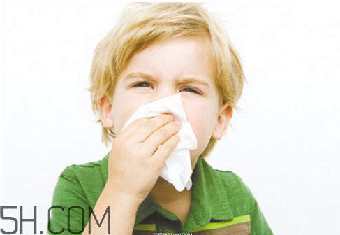 春天為什么容易感冒？感冒頭疼的食療方法