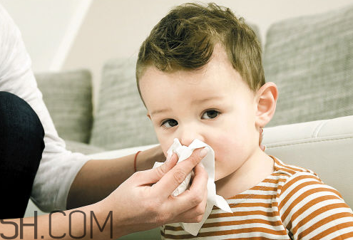 感冒能吃蘋果嗎？感冒藥吃了多久有效？