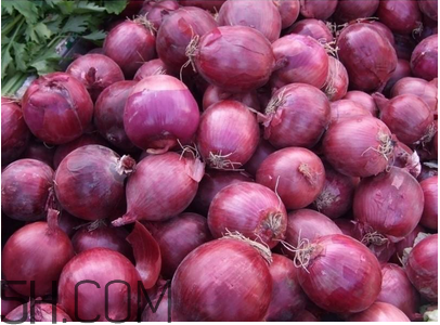 不同人群如何選擇感冒藥？感冒了能吃洋蔥嗎？