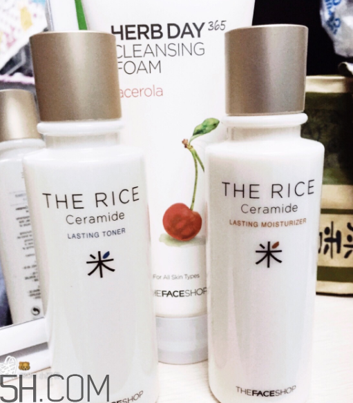 菲詩小鋪水乳怎么樣？菲詩小鋪水乳哪個(gè)好用？