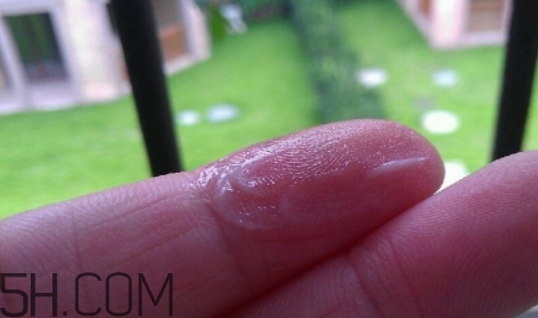 百雀羚乳液多少錢一瓶？百雀羚乳液專柜價格