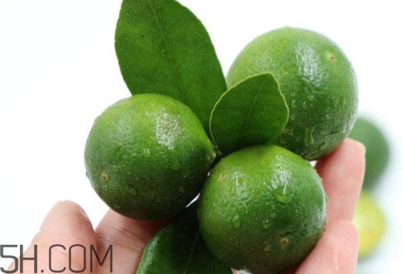 青金桔如何保存？青金桔什么人不能吃