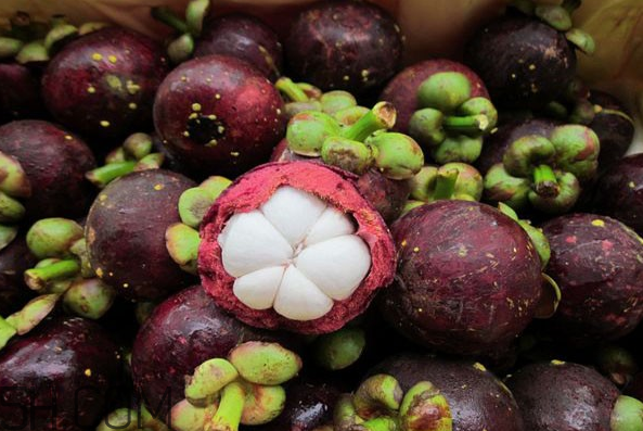 哪些人不能吃山竹？山竹軟的好還是硬的好？