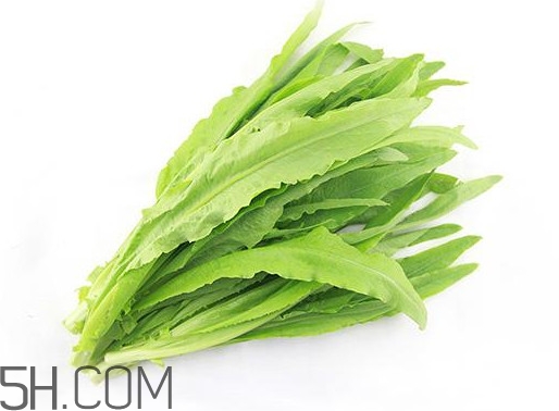 油麥菜是轉基因蔬菜嗎？油麥菜是發(fā)物嗎