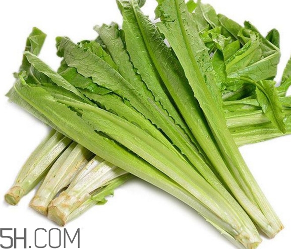 油麥菜是酸性還是堿性？油麥菜是什么季節(jié)的菜