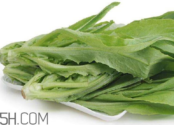 油麥菜可以隔夜嗎？油麥菜可以涮火鍋嗎