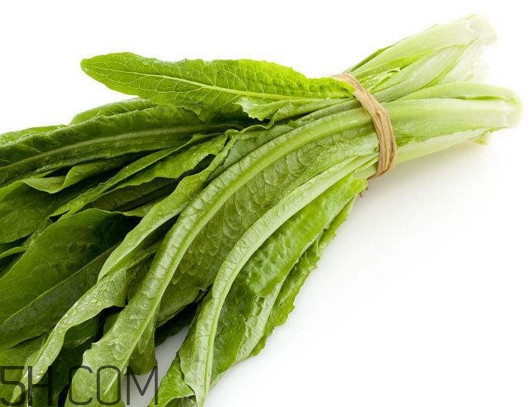 油麥菜怎么做好吃？油麥菜怎么種植