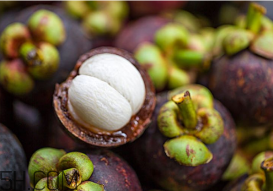 經(jīng)期可以吃山竹嗎？什么樣的山竹是新鮮的？