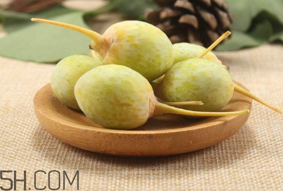 白果一天最多吃幾顆？白果什么時(shí)候采摘