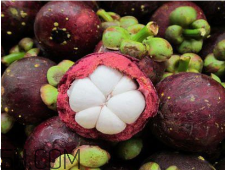 山竹和哪些食物相克？山竹的熱量高嗎？