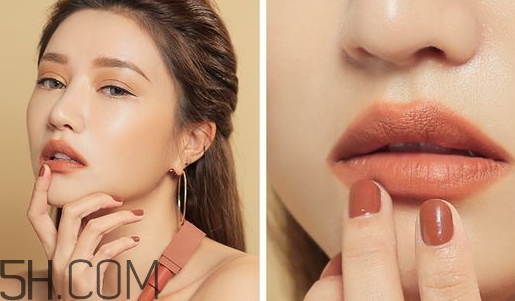 焦糖色口紅是什么顏色？焦糖色口紅試色
