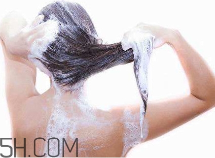 醋洗頭是白醋還是陳醋？用醋洗頭要用洗發(fā)水嗎？