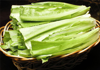 西紅柿和油麥菜能一起吃嗎？油麥菜能包餃子嗎