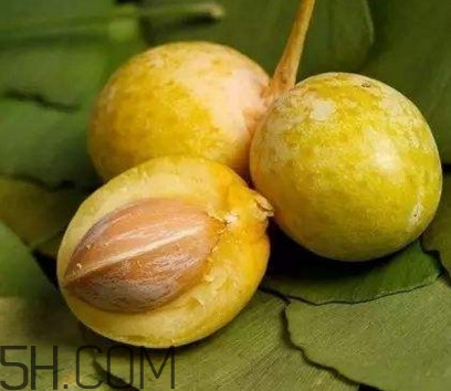 白果沒熟吃了會怎么樣？白果熟了是什么樣子的