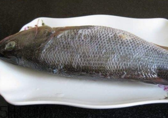 鮭魚是三文魚嗎？鮭魚的營養(yǎng)價值