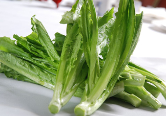 油麥菜為什么叫油麥菜？油菜和油麥菜的區(qū)別