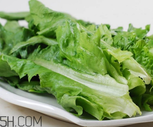 油麥菜是酸性還是堿性？油麥菜是什么季節(jié)的菜