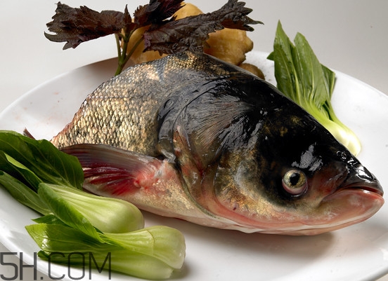 胖頭魚(yú)有什么營(yíng)養(yǎng)？胖頭魚(yú)是鰱魚(yú)嗎