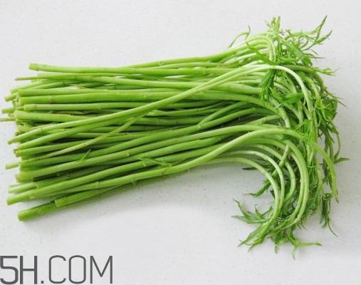 藜蒿孕婦能吃嗎？藜蒿不能和什么一起吃