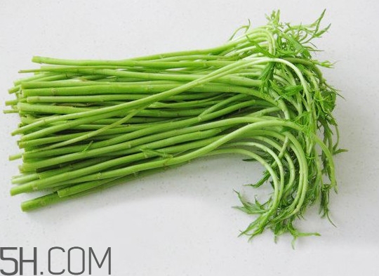 藜蒿多少錢一斤？藜蒿和蘆蒿是同一種菜嗎？