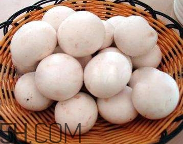 口蘑的口字是怎么來的？口蘑怎么清洗