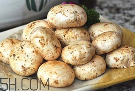 口蘑能放幾天？口蘑能放冰箱嗎