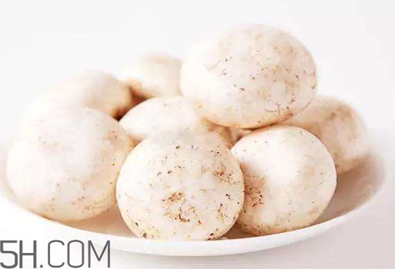 口蘑怎么挑選？口蘑有毒嗎