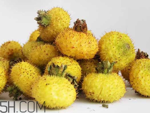 刺梨能降血壓嗎？刺梨是哪里的特產(chǎn)