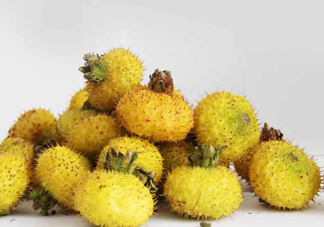 刺梨能降血壓嗎？刺梨是哪里的特產(chǎn)