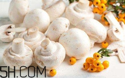 口蘑怎么吃？口蘑不能和什么一起吃