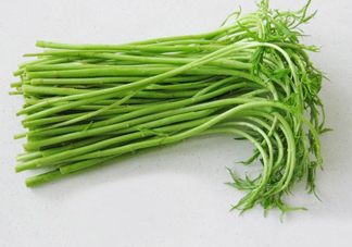 藜蒿多少錢一斤？藜蒿和蘆蒿是同一種菜嗎？