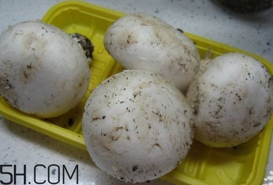 口蘑多少錢(qián)一斤？口蘑怎么保存