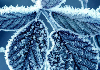 霜降穿什么鞋子？霜降鞋子搭配