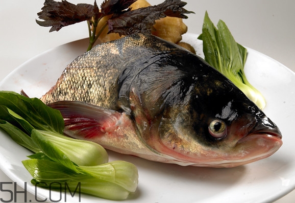 胖頭魚吃什么？胖頭魚怎么殺