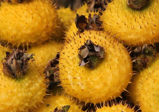 刺梨是酸性還是堿性？刺梨是涼性還是熱性