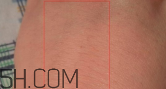 泊美塑采亮眼霜怎么樣？泊美塑采亮眼霜好用嗎？