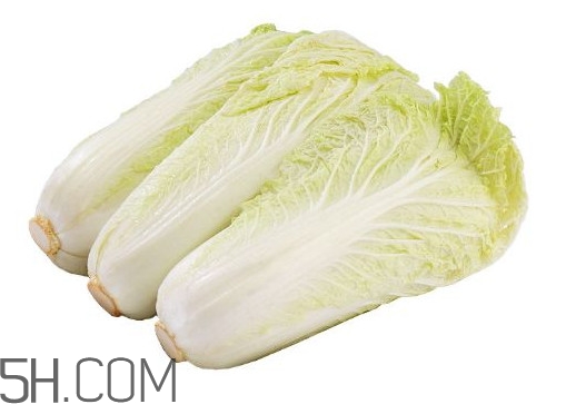 娃娃菜熱量是多少？娃娃菜為什么叫娃娃菜