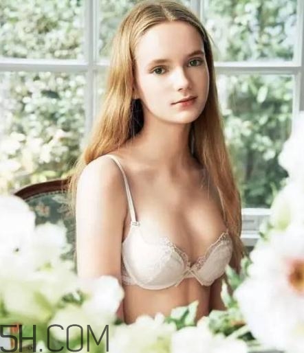 華歌爾內衣怎么樣？華歌爾和黛安芬哪個好？