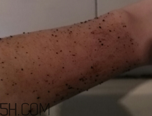 澳洲body咖啡身體磨砂膏怎么樣？多少錢？