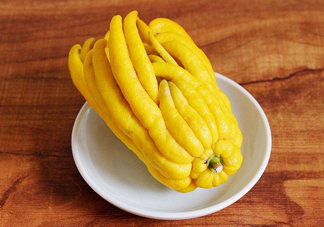 佛手柑怎么種植？佛手柑和香橙味道一樣嗎