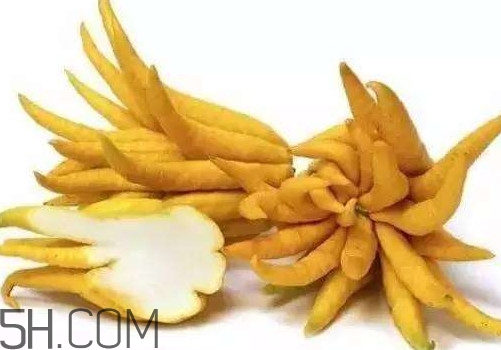 佛手柑是佛手瓜嗎？佛手柑和佛手瓜的區(qū)別