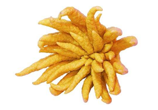 佛手柑怎么吃？佛手柑是什么味道