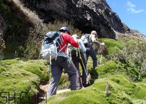 爬山后腿部酸痛怎么辦？如何防止爬山后腿疼？