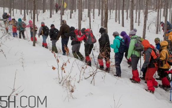 老年人爬山好嗎？下雪可以爬山嗎？