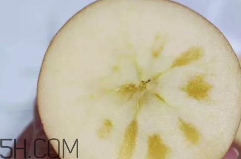 冰糖心蘋果什么時候采摘？冰糖心蘋果什么時候上市