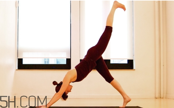 練瑜伽能排毒嗎？瑜伽可以天天練嗎？