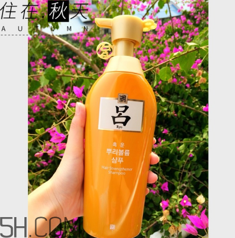 黃呂洗發(fā)水怎么樣？黃呂洗發(fā)水適合人群