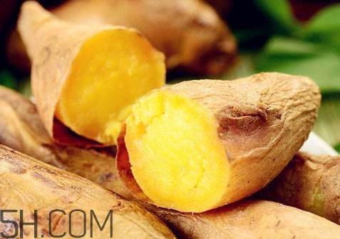 紅薯是蒸的好還是煮的好？紅薯是根還是莖